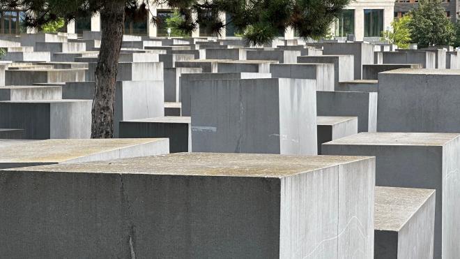 A field of concrete monoliths