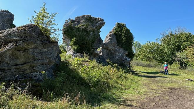 &ldquo;Karen standing beside several rauks, about 8 metres high&rdquo;