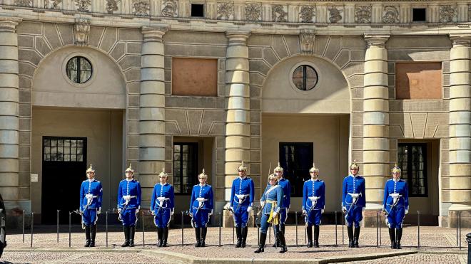 soldiers in blue swedish uniforms in a line